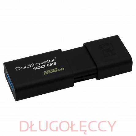 Pendrive DataTraveler 100 Pamięć flash USB 3.1 256GB